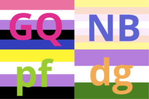 Genderqueer Nonbinary Peer-facilitated Discussion Group flag